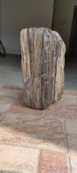 Zkamenělé dřevo – nález Žatecko, 4 kg, pěti barevné - 6