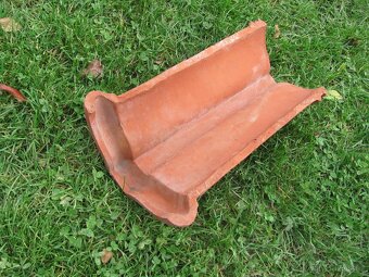 Hřebenáče / 8ks - 6