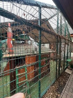 Prodám velkou ocelovou voliéru pro kočky či jiná zvířata - 6