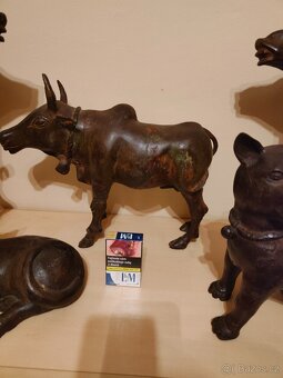 Ázijské zvieratá - 6