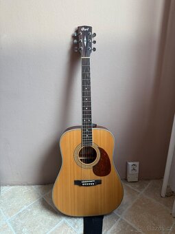 Cort earth 70E W NS - 6