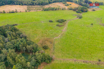 Prodej louky, 5715 m², Spálené Poříčí - 6