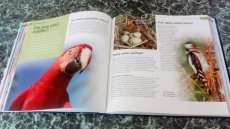 Kniha - Jak se mění náš svět (Nová) - 6