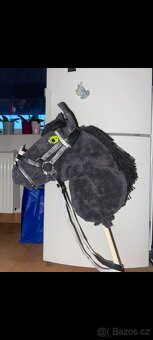 Hobby horse - 6
