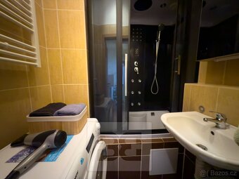Pronájem bytu 2+1 42 m2, Praha - Holešovice, ev.č. N08197 - 6