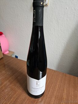 Víno / vína - sekt / sekty - šampaňské - 6