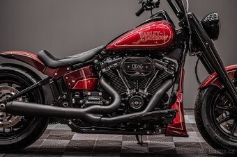 2021 Harley Davidson Softail Custom - 6