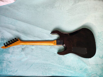 MBernard (Mason Bernerd - B.C.Rich) - 6