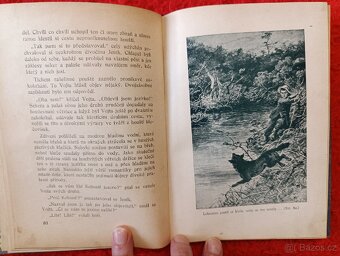 PRALES - Antonín Bašta - 6