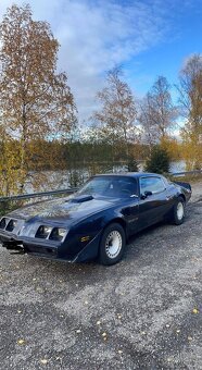 Pontiac Firebird 5.0 V8 1981 - 6