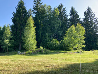Prodej stavebního pozemku 2 422 m² - Šumava, Stachy - 6