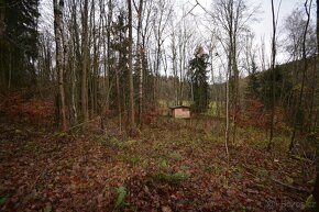 Pozemek Merklín - 6