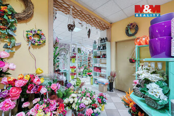 Pronájem květinářství, 133 m², Třemošná, ul. Plzeňská - 6