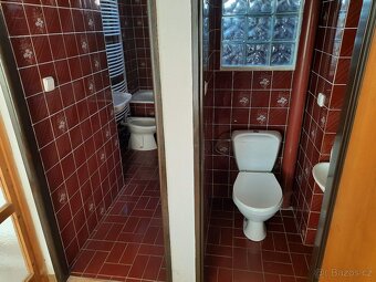 Byt 1+1 (48 m2) s terasou (16 m2) k pronájmu Hříšice u Dačic - 6