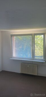 Pronájem bytů. - 6