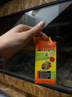 Terárium pro plazy 120x60x60 - 6