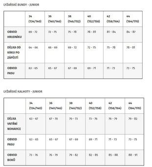 Dívčí lyžařský set ICEPEAK - 6