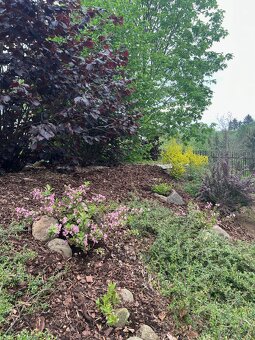 Pozemek v malebné obci 12 KM od ČL - 800 m2 - 6