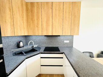 Pronájem bytu 2+kk 70m²,v lokalitě Milana Ticháka Vila Park - 6