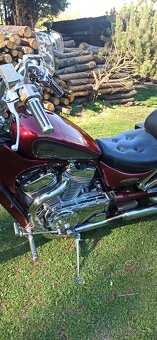 Suzuki VS 800 GL Intruder - 6
