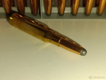 308 Winchester SP - 6