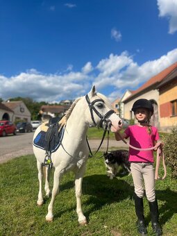 Líbivá pony klisna - 6
