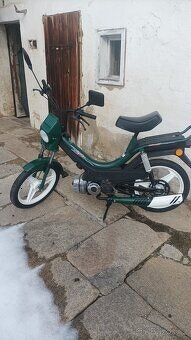Korado manet - 6