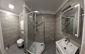 Pronajmu byt 1+1 po rekonstrukci - 6