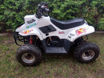 Prodám dětskou čtyřkolku Hytrack HY 50 - 6