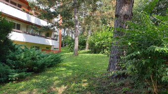 Byt 2+1, 69 m2, lodžie, výtah, sklepy, parkování. - 6