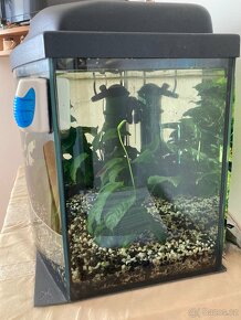 Akvárium pro rybičky - 6