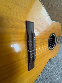 Retro kytara - 6