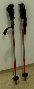 Dětské lyže DYNASTAR 80cm + hůlky GIPRON 70 (set) - 6