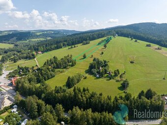 Prodej, pozemek pro komerční využití, 10.831 m2, Frymburk - 6