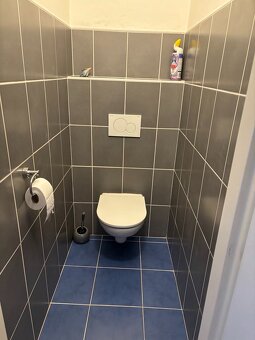 Prodej velkého bytu 4+1 s vlastní zahradou a park. stáním - 6