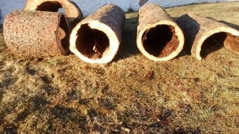 Duté kmeny na ptačí budky aj. - 6