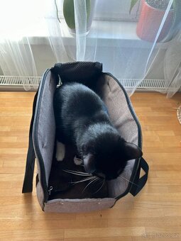 Prodám tašku na malého psa/kočku O LALA PETS QUEEN - 6