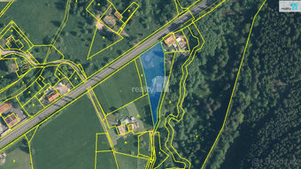 Prodej pozemku o 2983m2 ve Zlaté u Kynšperka nad Ohří - 6