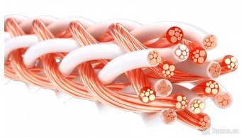 Repro káble KIMBER 8TC - 6