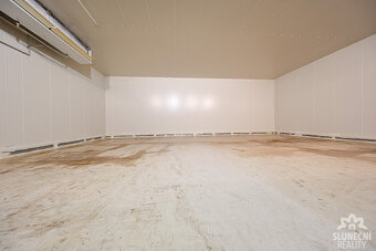 Prodej výrobního a skladového areálu, 23408 m², Bzenec - Již - 6