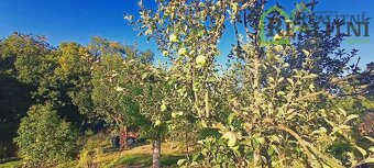 Prodej zahradního altánu v žádané zahrádkářské osadě Hliník  - 6