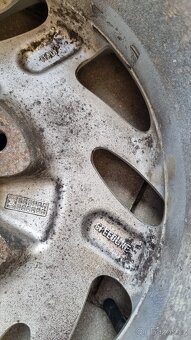 Kola Speedline 13" - 6