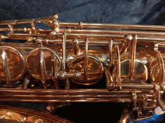 Alt Saxofon CONN AS 650 - 6