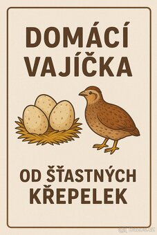 Konzumní křepelčí vajíčka - 6