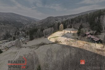 Prodej, pozemky/louka, 3901 m2, Dolní Rokytnice , Rokytnice - 6