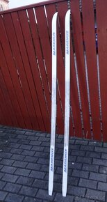 Běžky zn. MADSHUS s vázáním Salomon délky 195cm - 6