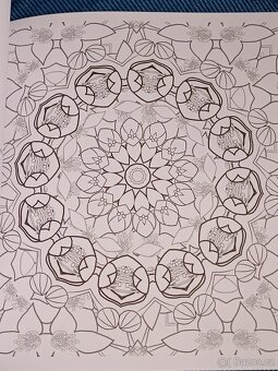 Omalovánky pro dospělé: Inspirativní a ............. - 6