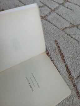 Sylvia Brinton Perera: Sestup k Bohyni - 6