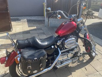 Harley Davidson Sportster XL 1200T Super Low - 6