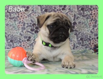 MOPS s PP. - 6